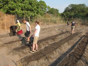 Building the SM garden