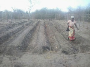 MTM family garden ready to plant