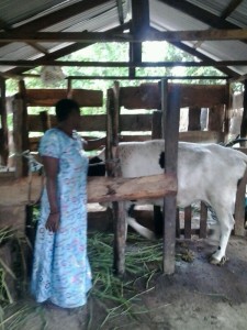 Mama MMM in front of the family cow.