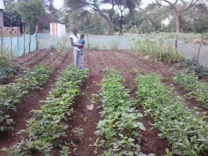 Daughter and granddaughter of MGT family in garden in July, 2014.