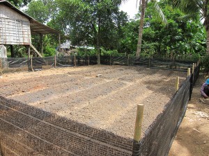 Garden in Sep 2012