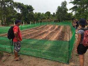 FAITH organic vegetable garden