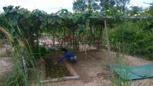 PMI expanded garden