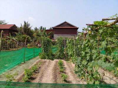 YS house
