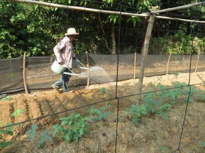 Working in garden
