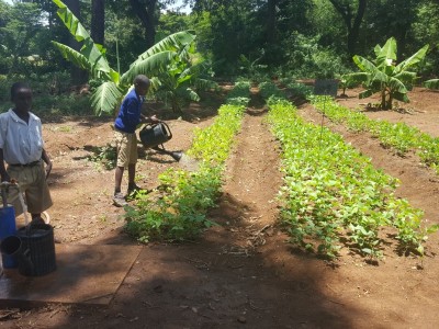 Tupendane - Kahe Primary Water System